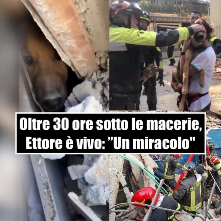 Oltre 30 ore sotto le macerie, Ettore è vivo. L’abbraccio dei soccorritori: “Un miracolo”