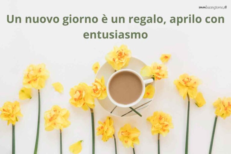 Buon venerdì 2 febbraio 2024: frasi e immagini bellissime per il tuo buongiorno