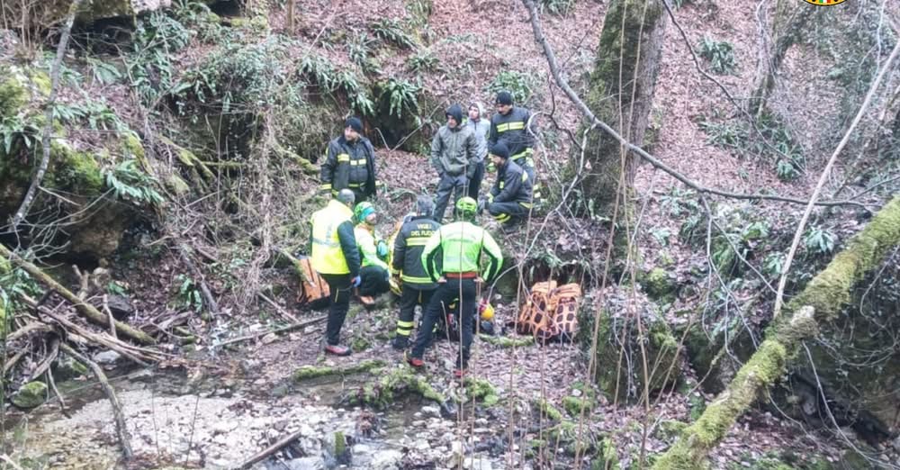 Salvato in montagna dal suo fedele cane, la scienza: capiscono quando siamo in difficoltà