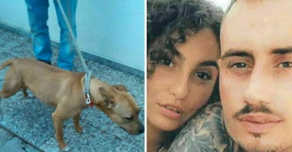 Giulia aggredita dal pitbull, pigiamino insanguinato tra i rifiuti: «Cambiata prima del pronto soccorso»